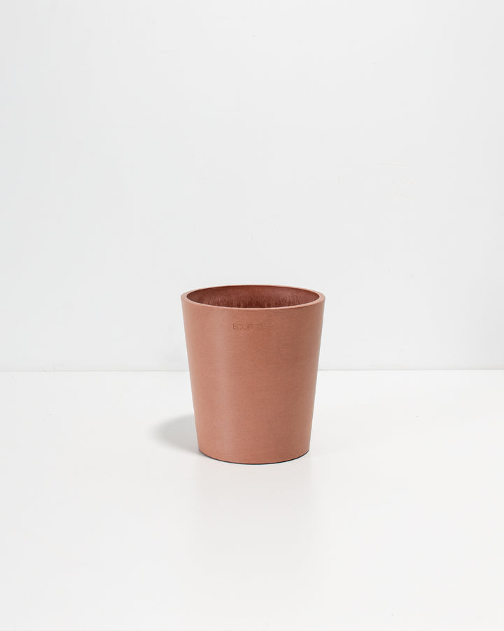 Orchid Ecopots®