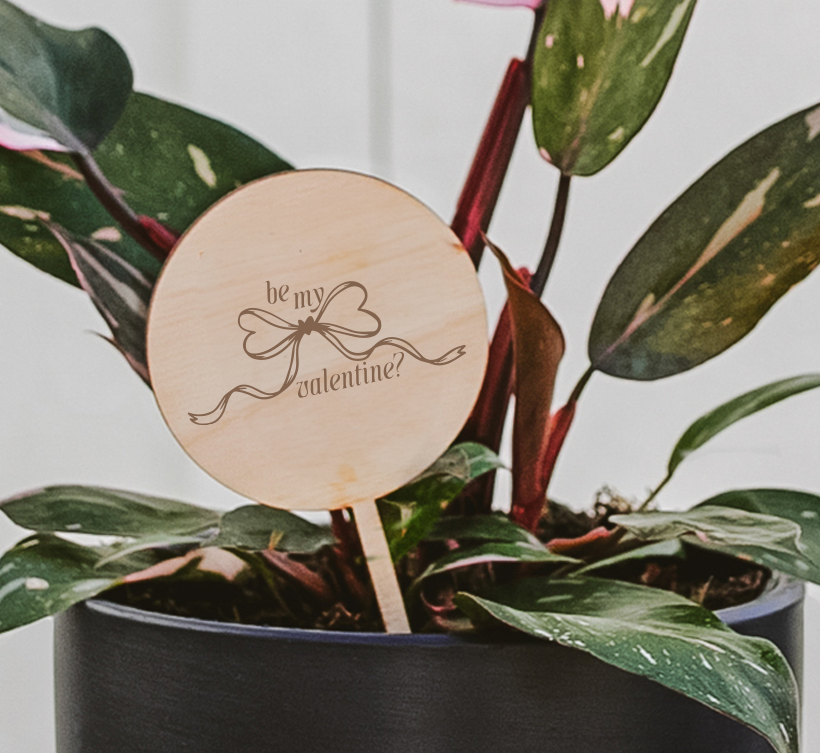 Wooden Valentine's Day plant pick "be my valentine?" with bow design in black potted Syngonium, gift for loved ones