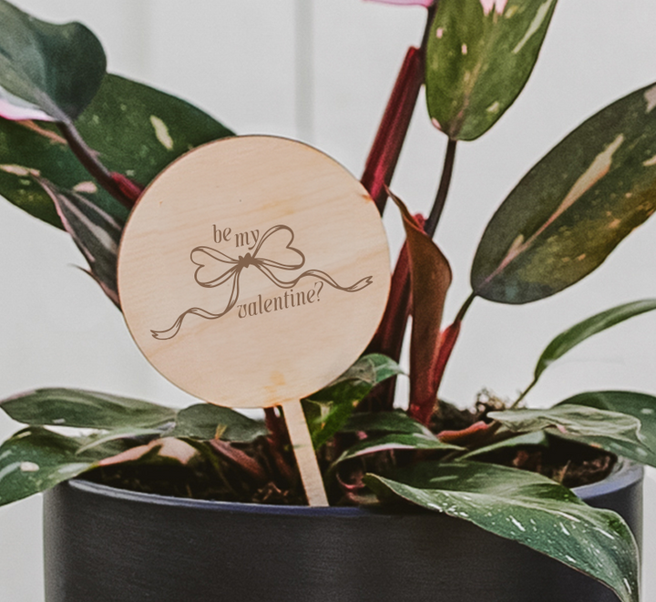 Wooden Valentine's Day plant pick "be my valentine?" with bow design in black potted Syngonium, gift for loved ones