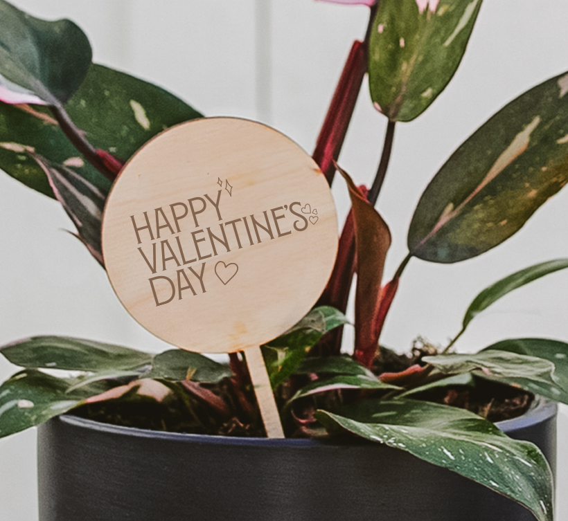 Happy Valentine's Day wooden plant stake with heart and music note symbols in black ceramic pot with variegated houseplant