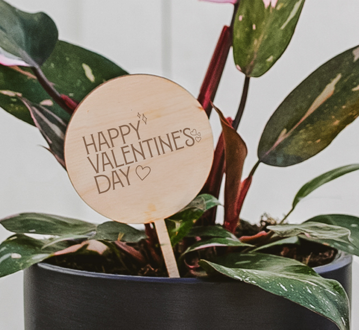 Happy Valentine's Day wooden plant stake with heart and music note symbols in black ceramic pot with variegated houseplant