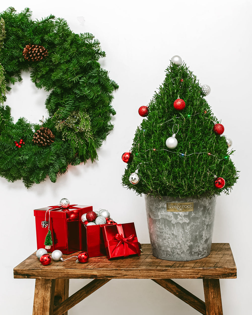 Decorated rosemary Christmas tree in grey textured ceramic pot styled with holiday ornaments, festive wreath, and wrapped gift boxes. Seasonal botanical décor arrangement combining living fragrant herb plant with traditional holiday aesthetics for memorable holiday gifting and festive home display.