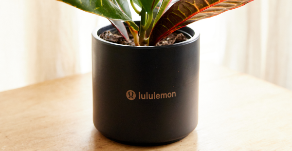 Logo engraving on pot