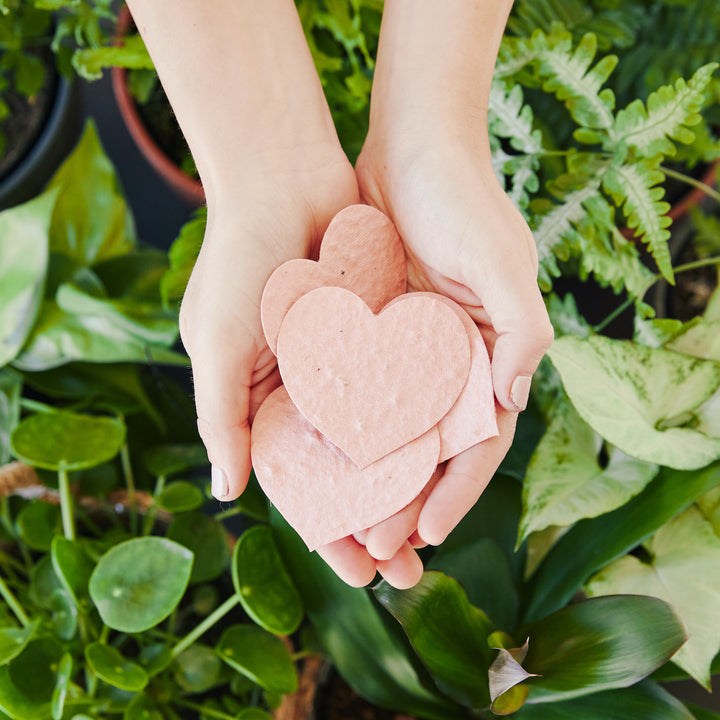 Pink heart-shaped wildflower seed paper cards held in hands surrounded by lush green garden foliage, plantable Valentine's greeting card set for eco-conscious gift-giving and flower gardening.