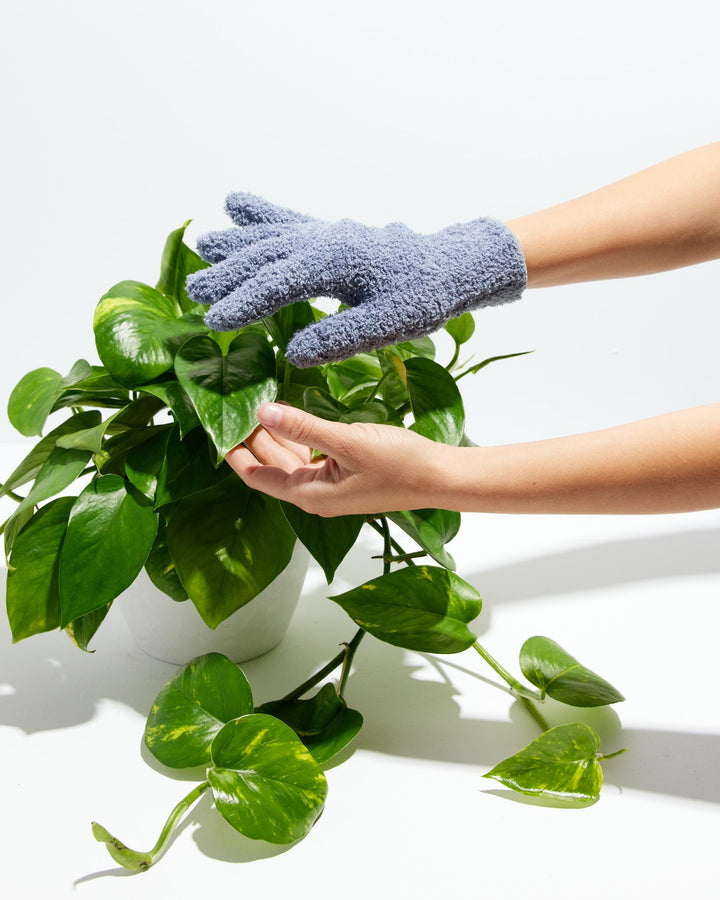 Dusting Glove