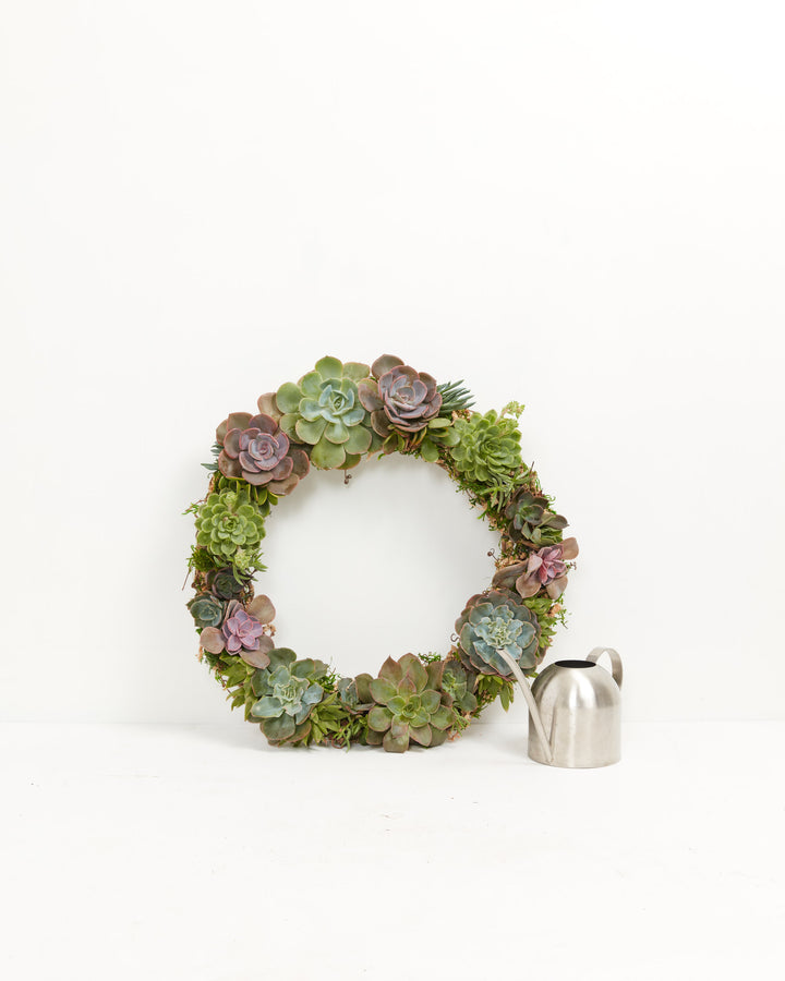 Live Succulent Wreath