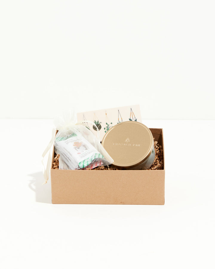 Candle and Chocolates Holiday Gift Box, Lively Root, Accessory, , , , 