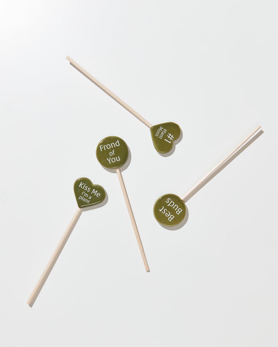 Plant Picks For A Purpose, Lively Root, Accessory, , , , 