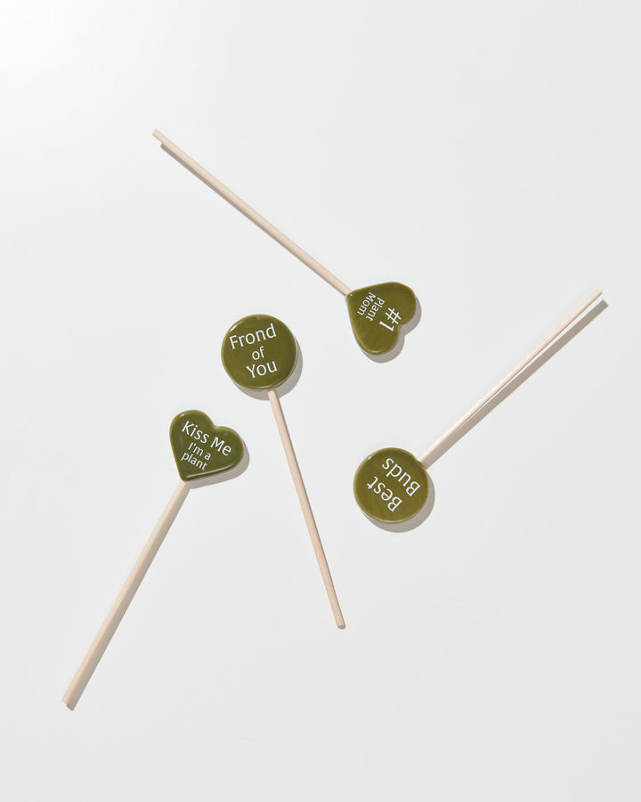 Plant Picks For A Purpose, Lively Root, Accessory, , , , 