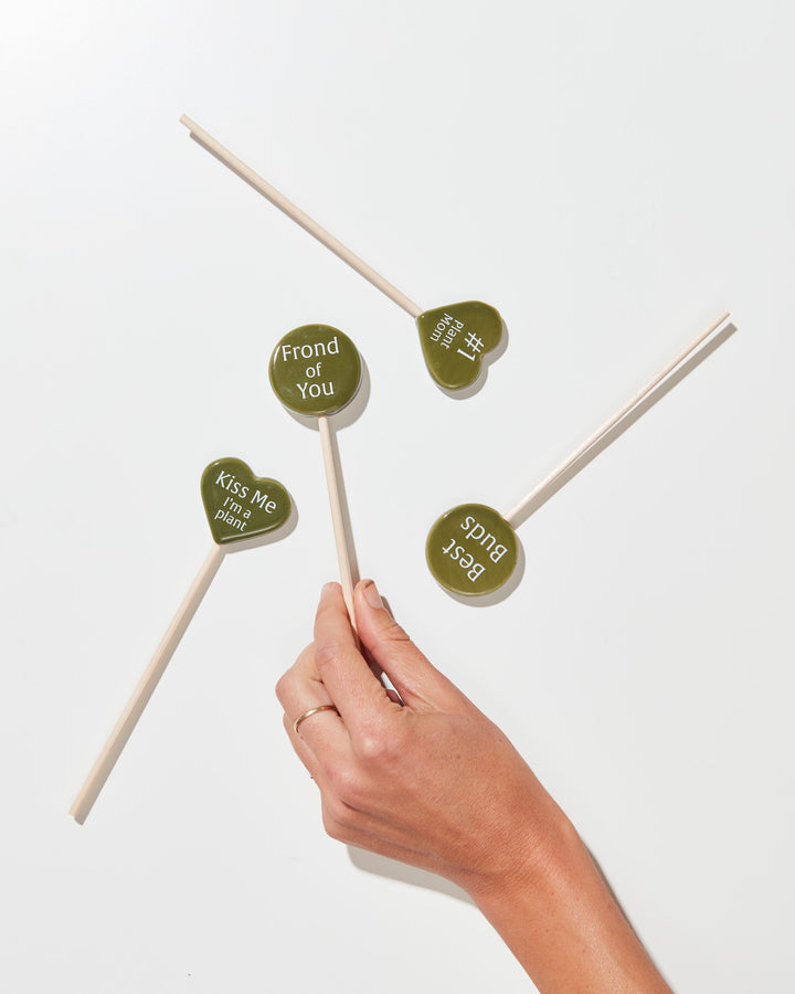Plant Picks For A Purpose, Lively Root, Accessory, , , , 