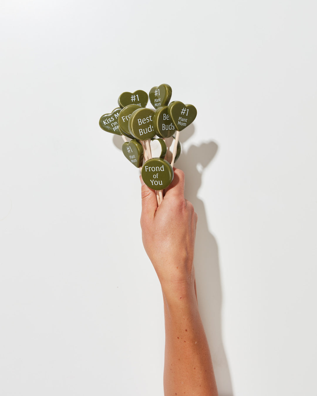 Plant Picks For A Purpose, Lively Root, Accessory, , , , 