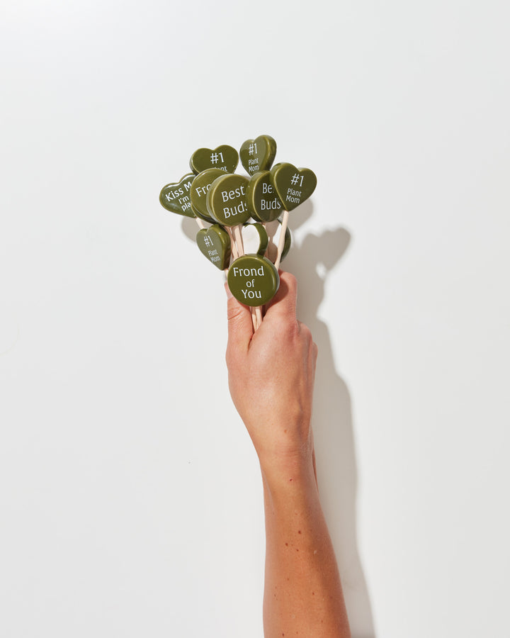 Plant Picks For A Purpose, Lively Root, Accessory, , , , 