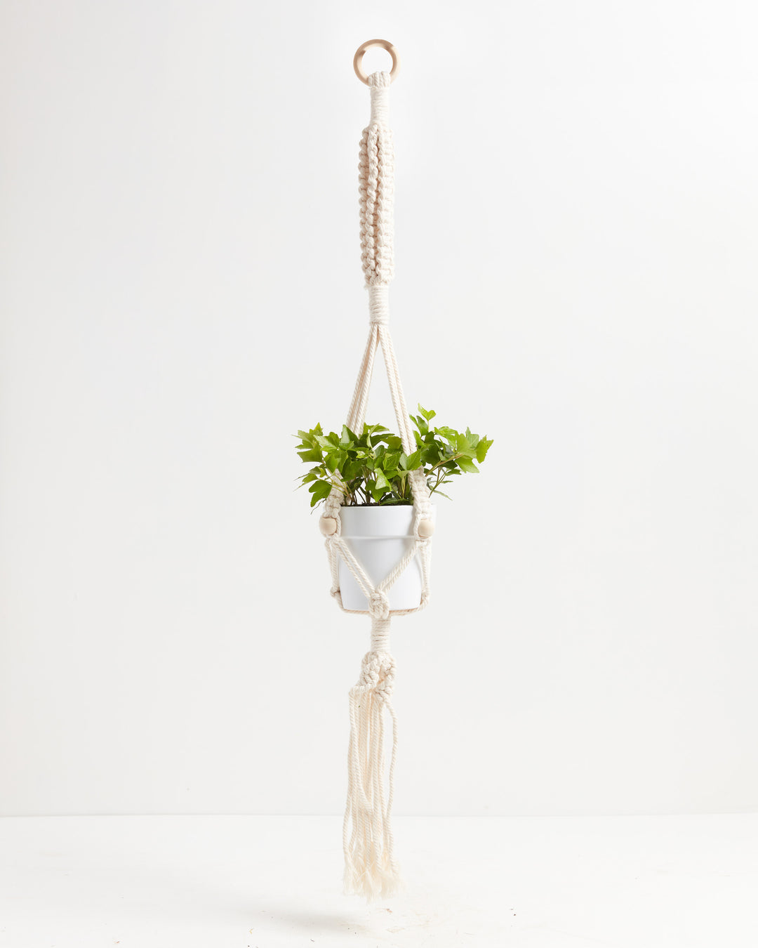 Macrame Plant Hanger, Lively Root, Accessory, Color, Ivory, , 