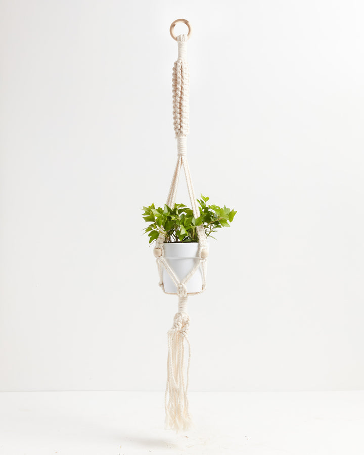 Macrame Plant Hanger, Lively Root, Accessory, Color, Ivory, , 