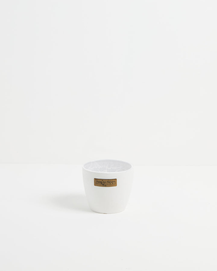 Eco Pot, Lively Root, Planter, Size, Small, Color, Coconut