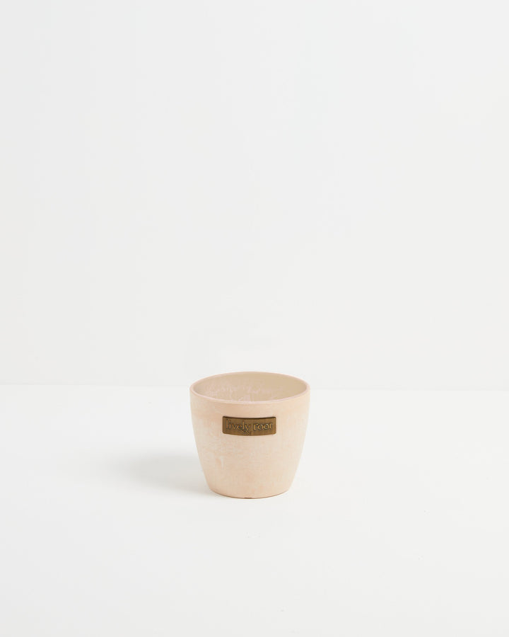 Eco Pot, Lively Root, Planter, Size, Small, Color, Macadamia