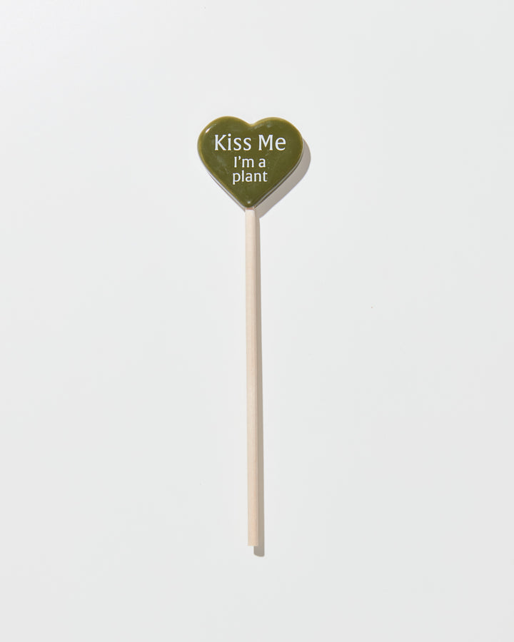Plant Picks For A Purpose, Lively Root, Accessory, , , , 