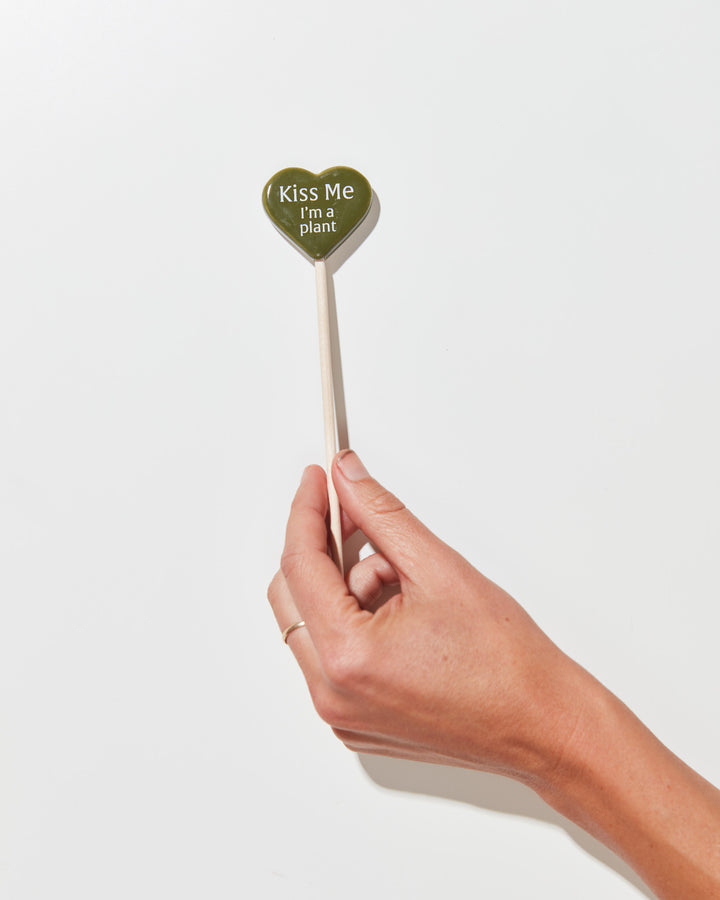 Plant Picks For A Purpose, Lively Root, Accessory, Message, Kiss Me I'm A Plant, , 