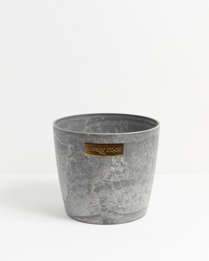 Eco Pot, Lively Root, Planter, Size, Extra Large, Color, Earl Grey