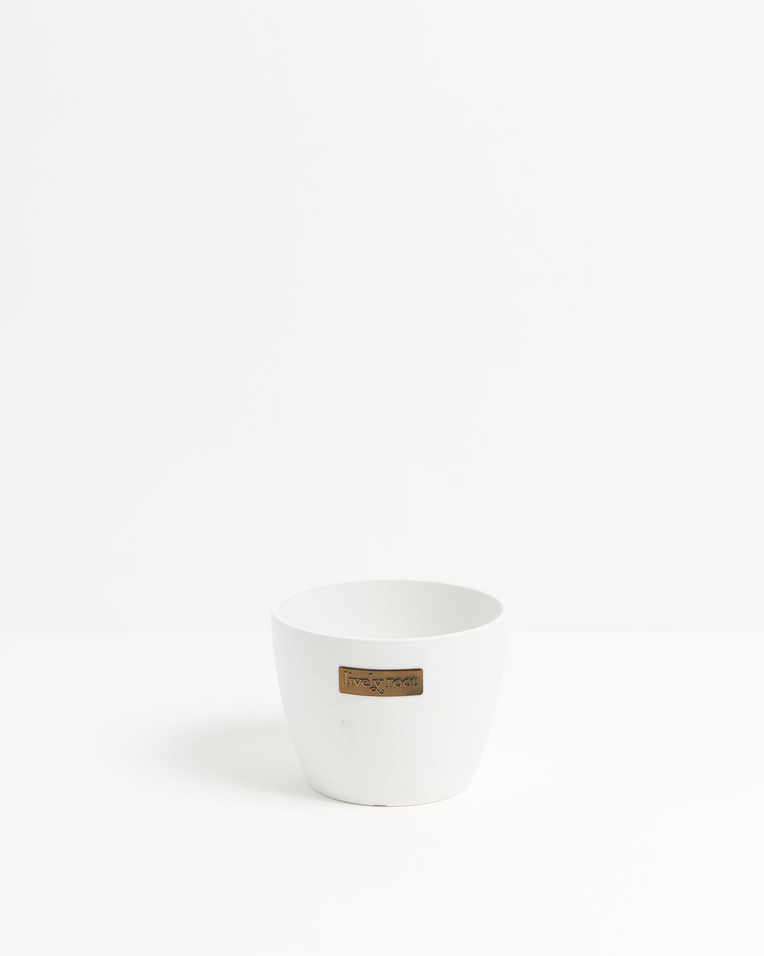 Eco Pot, Lively Root, Planter, , , , 