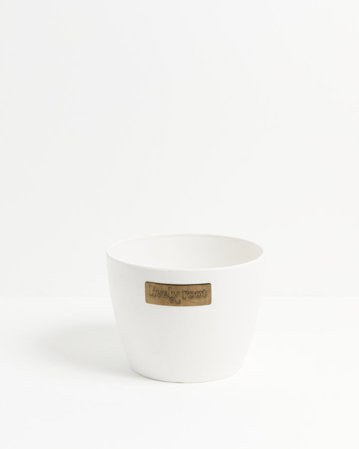 Eco Pot, Lively Root, Planter, , , , 