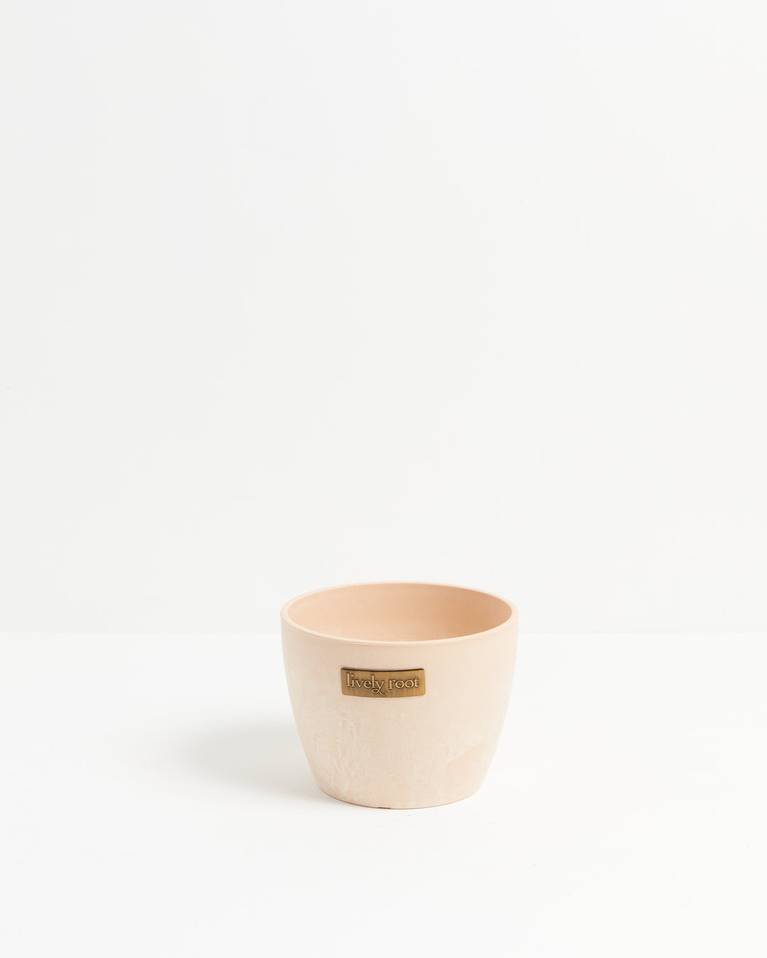 Eco Pot, Lively Root, Planter, , , , 