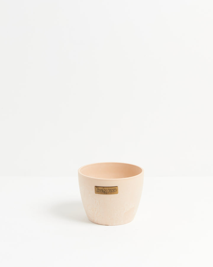 Eco Pot, Lively Root, Planter, , , , 