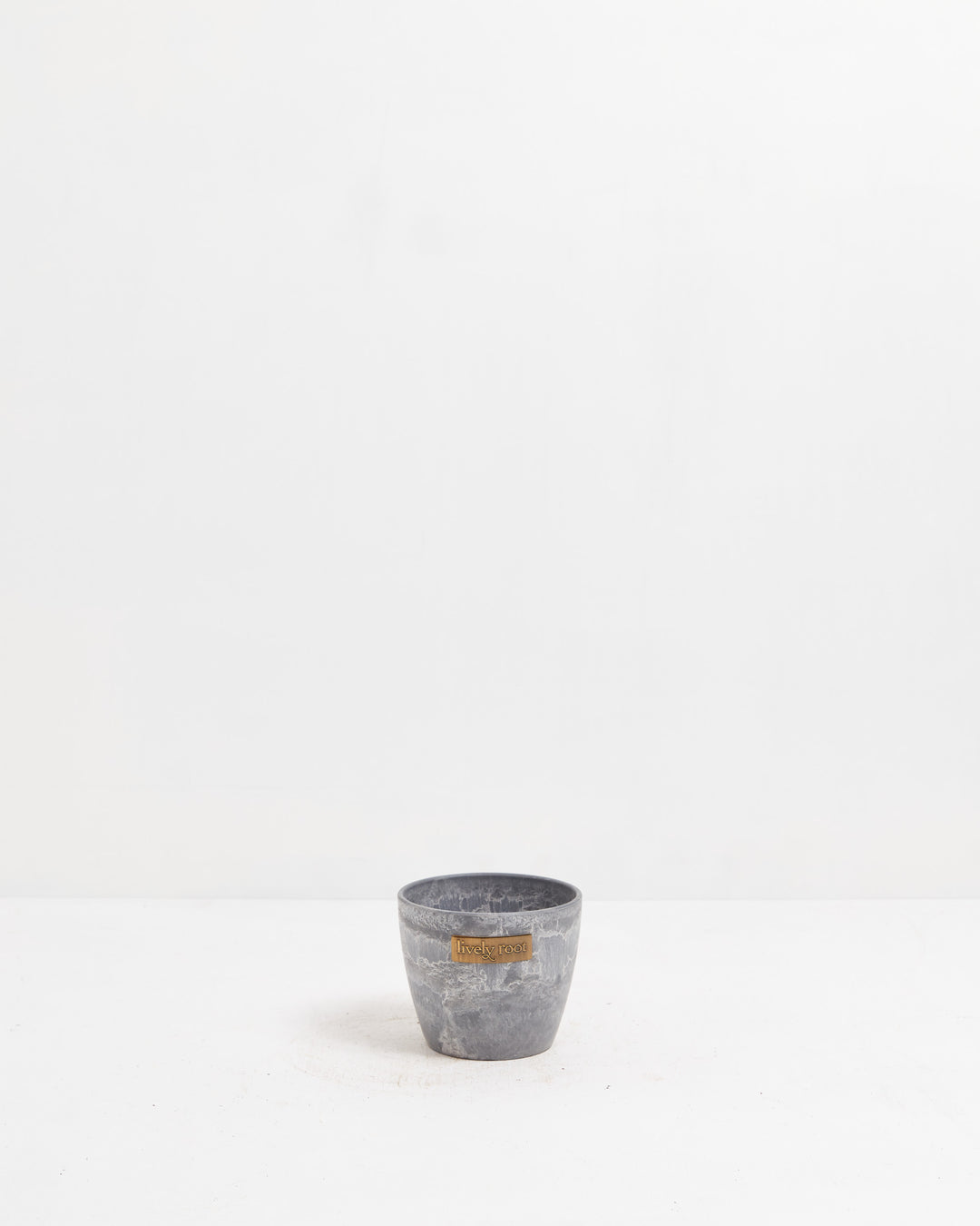 Lively Root 4-inch concrete grey planter with textured matte finish, compact decorative pot for small succulents, herbs, and tabletop plant gardening.