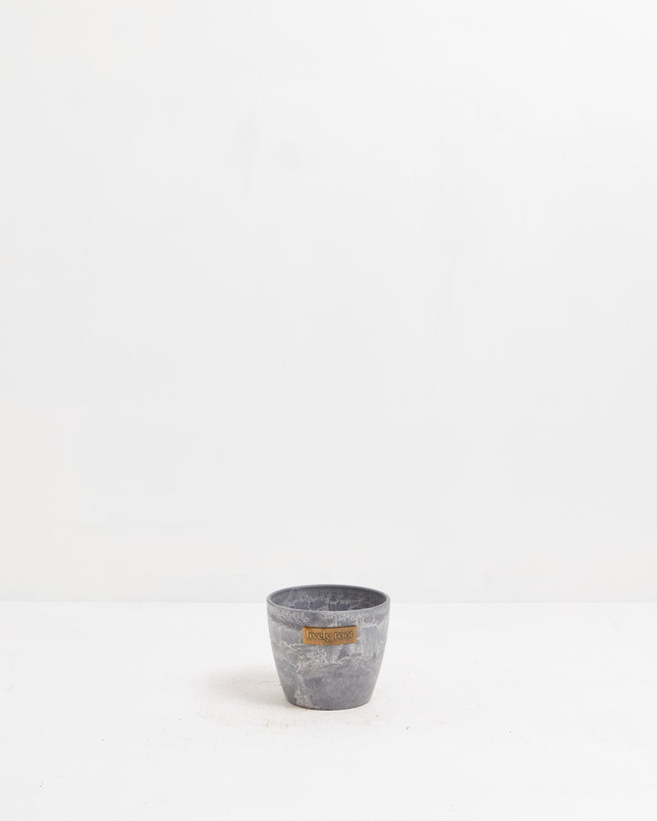 Lively Root 4-inch concrete grey planter with textured matte finish, compact decorative pot for small succulents, herbs, and tabletop plant gardening.