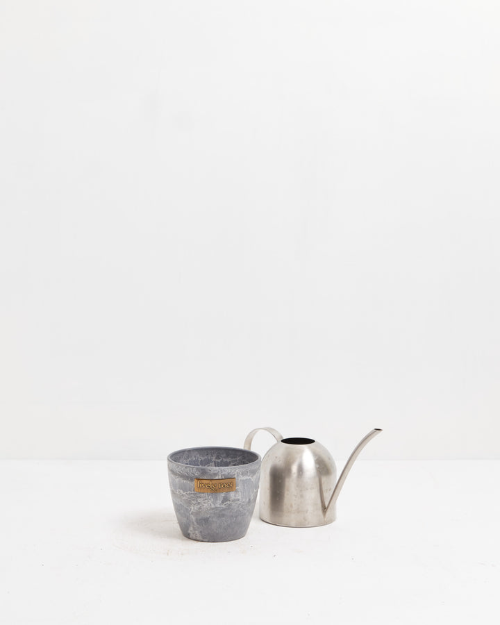 Charcoal grey 4-inch ceramic decorative planter bundled with brushed stainless watering can, ideal for small-space gardening and minimalist home plant styling.