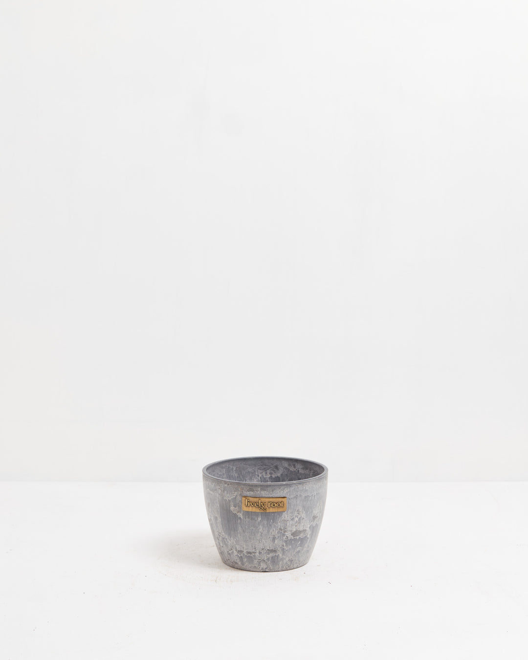 6-inch grey concrete-textured ceramic planter with Lively Root brass label, modern decorative pot for medium houseplants and contemporary indoor plant displays.