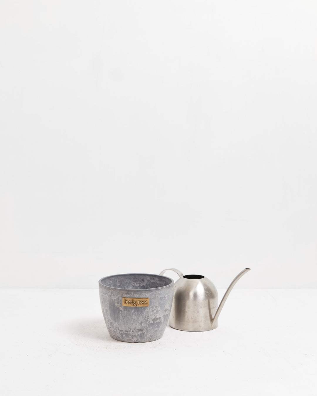 6-inch grey decorative plant pot paired with polished stainless steel watering can, creating stylish complete indoor plant care and home garden bundle.