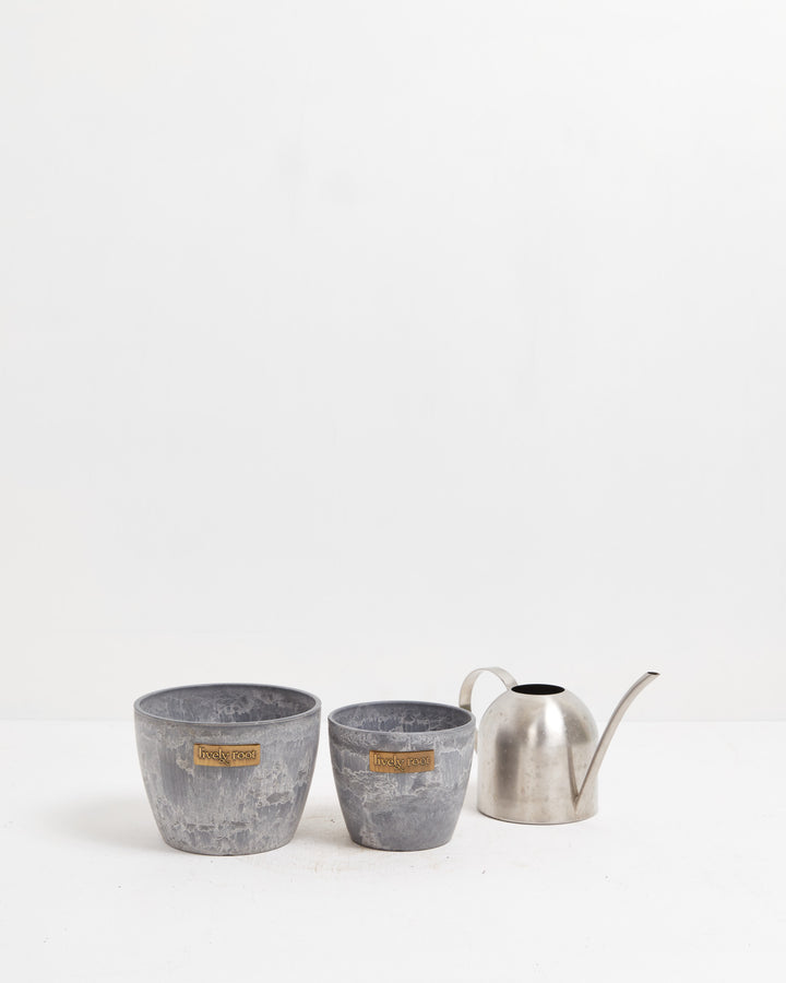Lively Root mixed-color pot set combining warm terra cotta and cool grey concrete finishes, perfect for curated plant collections and decorator plant arrangements.
