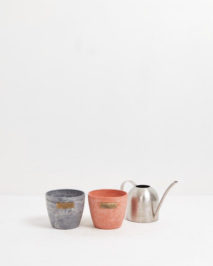 Terra cotta and grey cement-textured 4-inch planters showcasing Lively Root's coordinating pot styles for cohesive indoor garden displays and home décor.