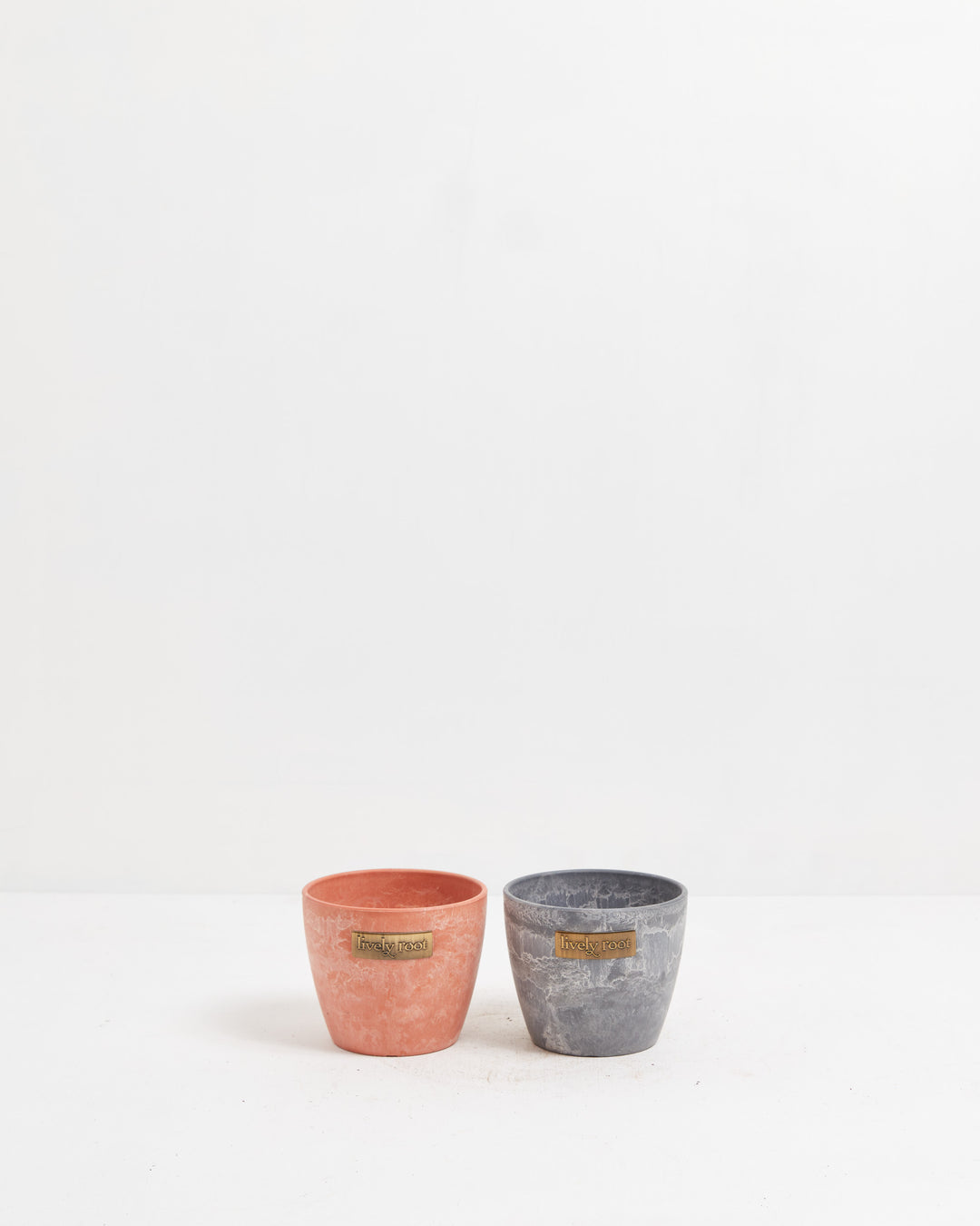 Decorative pot pairing in coral terra and charcoal concrete finish, sized for succulents, small houseplants, and botanical home styling collections.