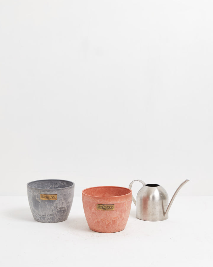 Three-piece Lively Root collection with 6-inch concrete grey pot, 6-inch terra cotta planter, and stainless steel watering can for complete plant styling and care.