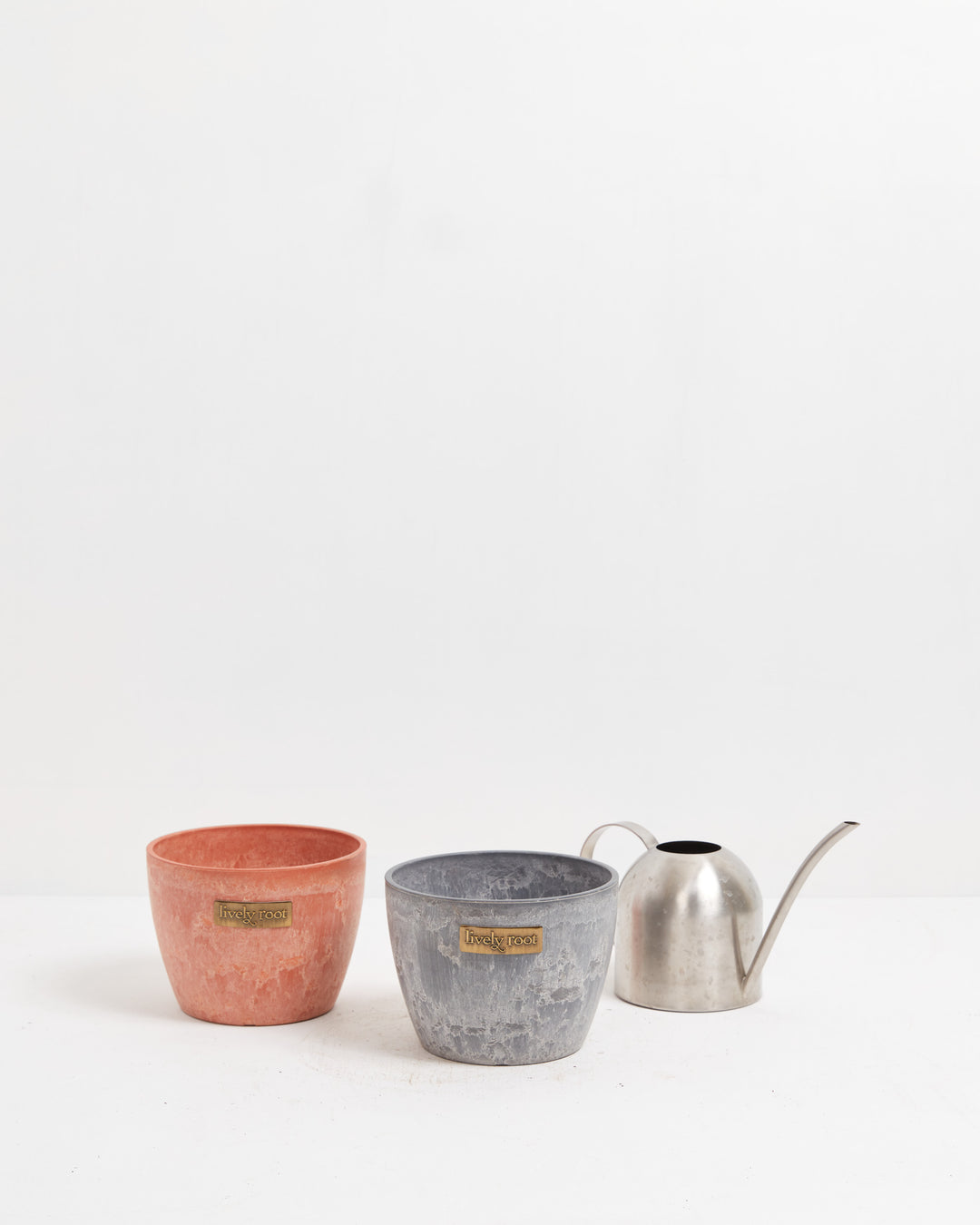 Complete Lively Root three-piece collection with 6-inch terra and grey ceramic planters plus stainless watering can, versatile decorative containers for houseplant enthusiasts.