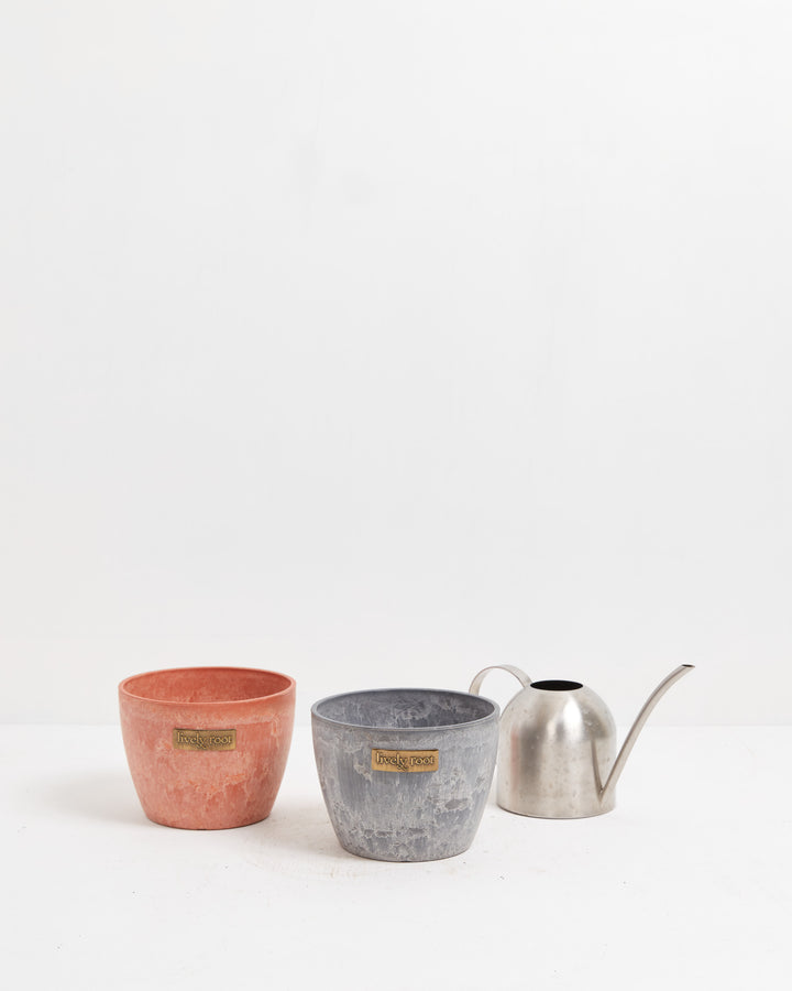 Complete Lively Root three-piece collection with 6-inch terra and grey ceramic planters plus stainless watering can, versatile decorative containers for houseplant enthusiasts.