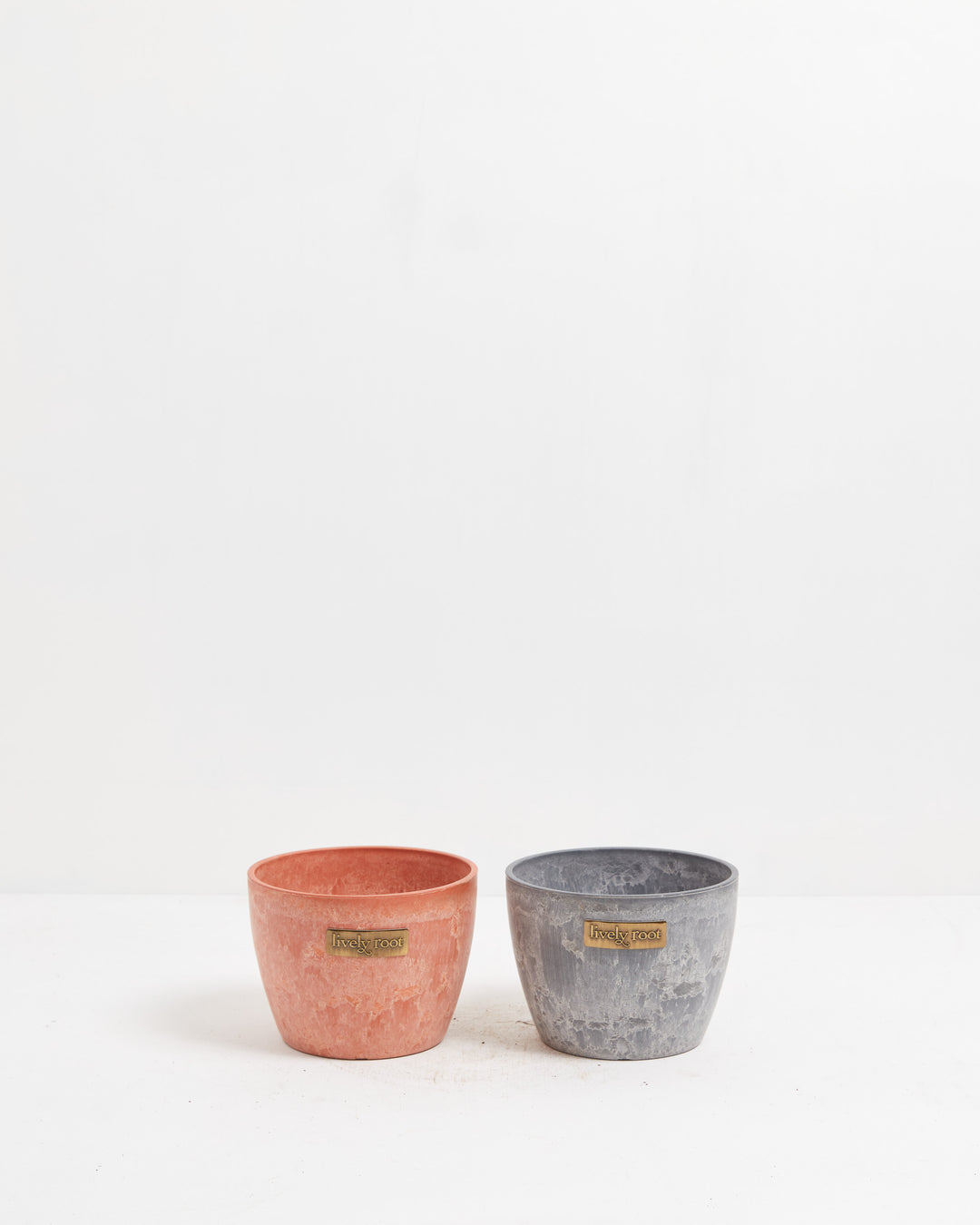 Lively Root pot duo featuring 6-inch terra cotta and 4-inch concrete grey planter with matching brass labels, versatile decorative containers for multiple houseplants.