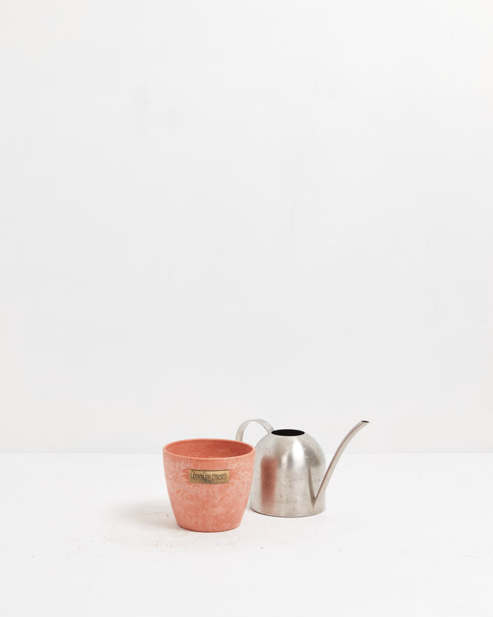 Compact 4-inch terra decorative plant pot bundled with sleek stainless steel watering can for convenient small-space indoor plant care and styling.