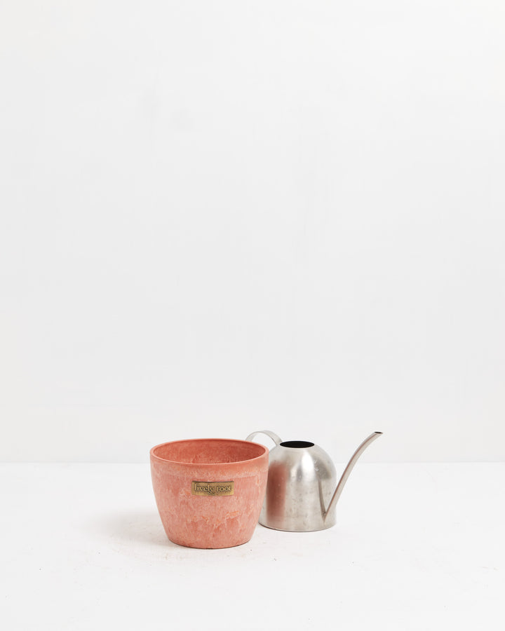6-inch terra cotta decorative planter paired with stainless steel watering can, perfect for complete indoor plant care and home gardening gift sets.