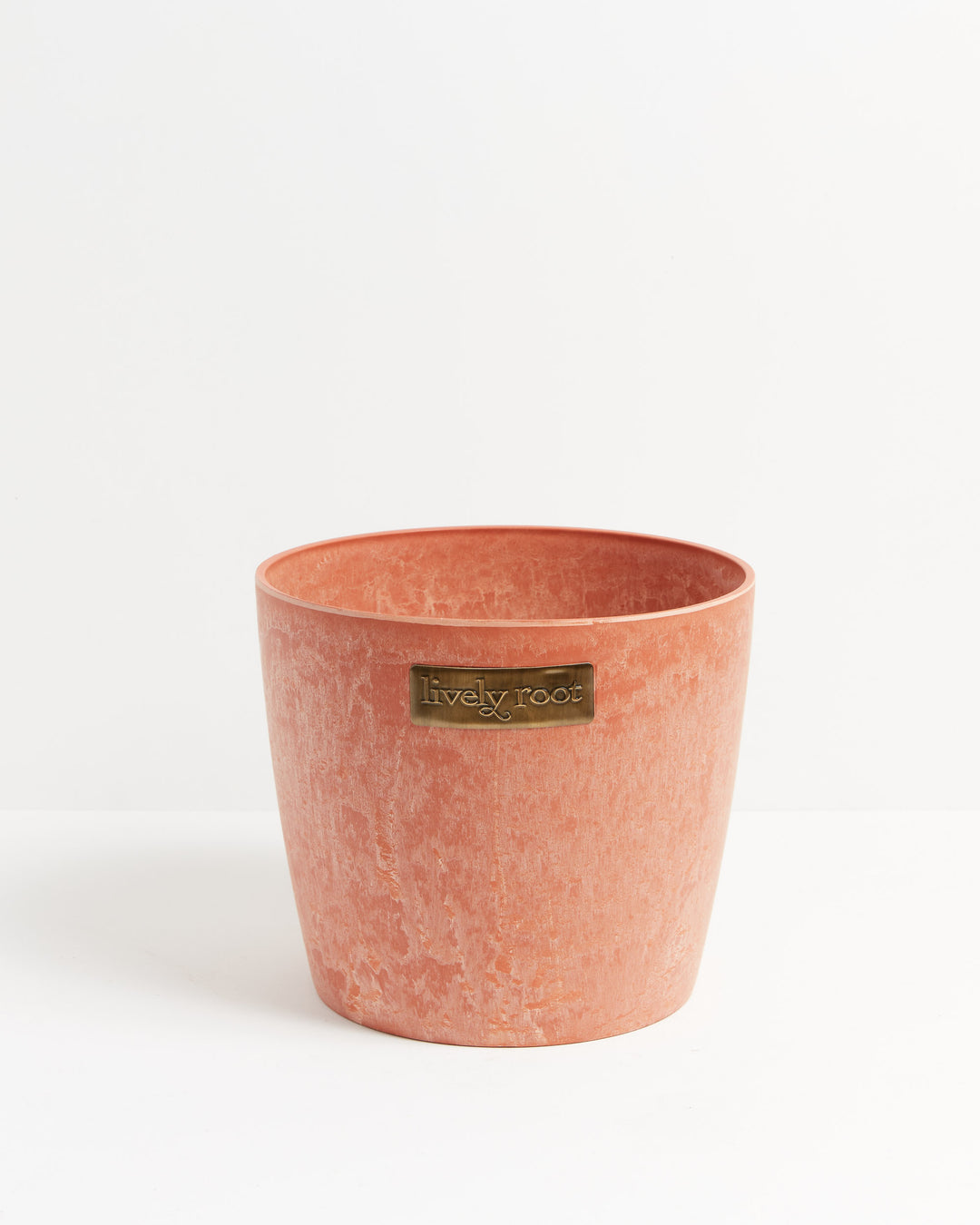 Eco Pot, Lively Root, Planter, , , , 
