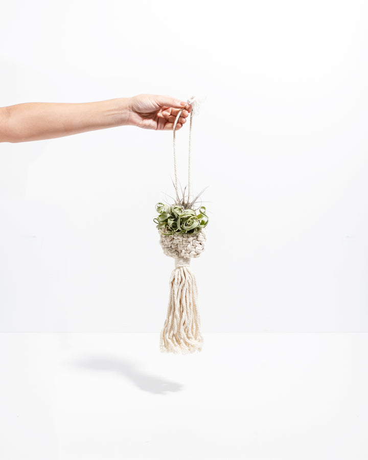 Macrame Air Plant Ornament