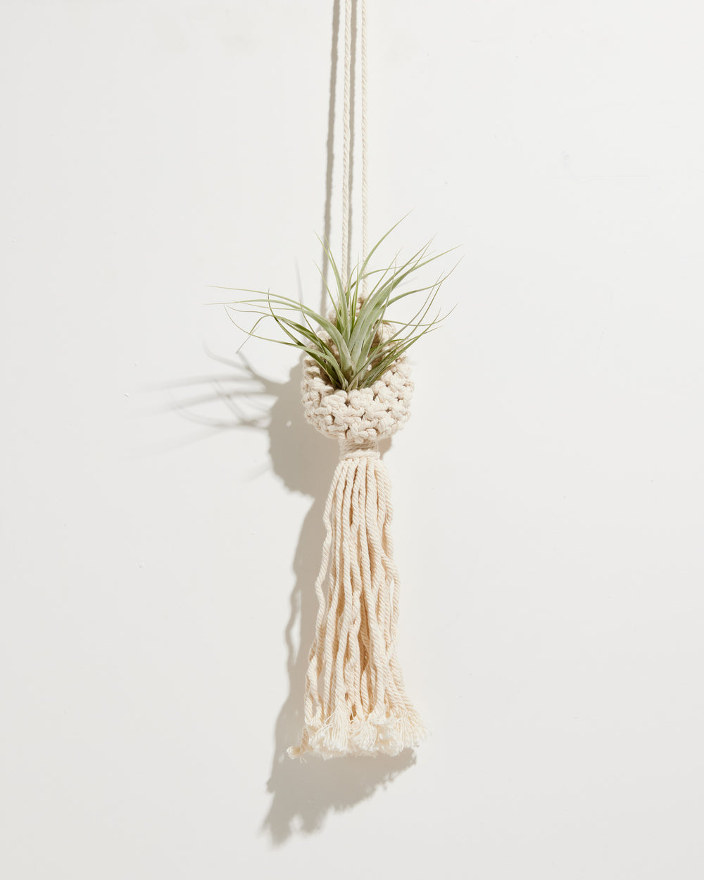 Macrame Air Plant Ornament, Lively Root, , , , , 