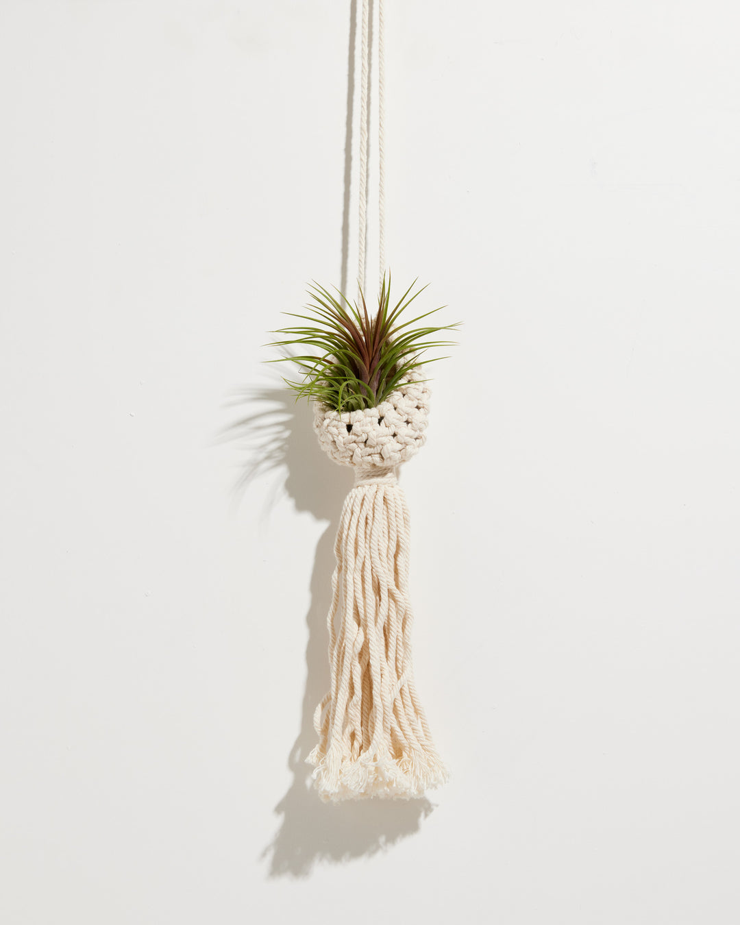 Macrame Air Plant Ornament, Lively Root, , Style, With Plant, , 