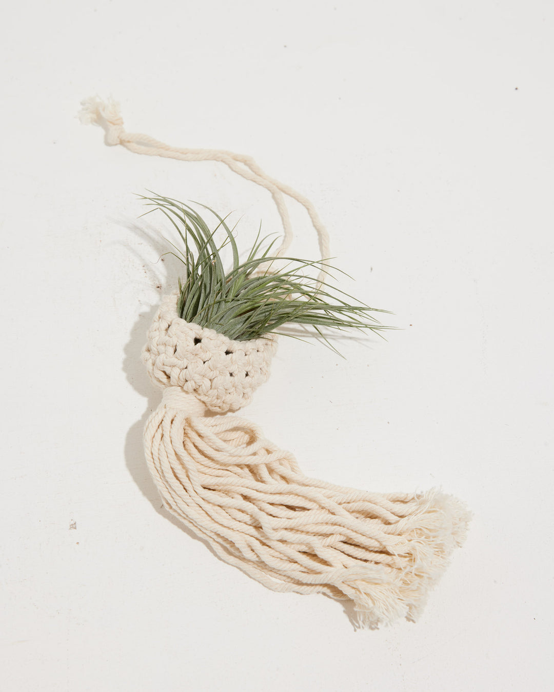 Macrame Air Plant Ornament, Lively Root, , , , , 