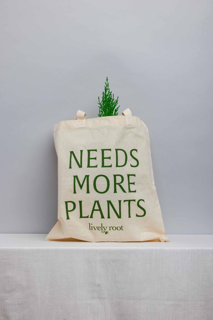 Lively Root "Needs More Plants" natural canvas tote bag featuring green printed text and Lively Root branding, styled with small potted herb or succulent plant inside for eco-friendly plant lover gift packaging.