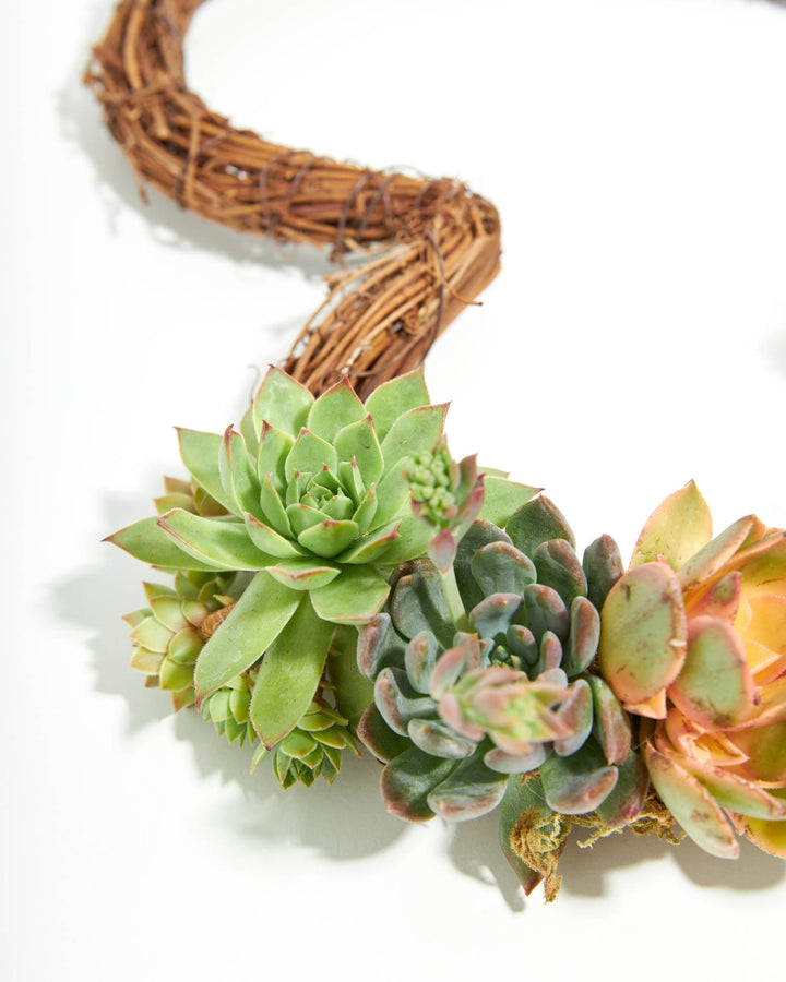 Live Succulent Heart Wreath