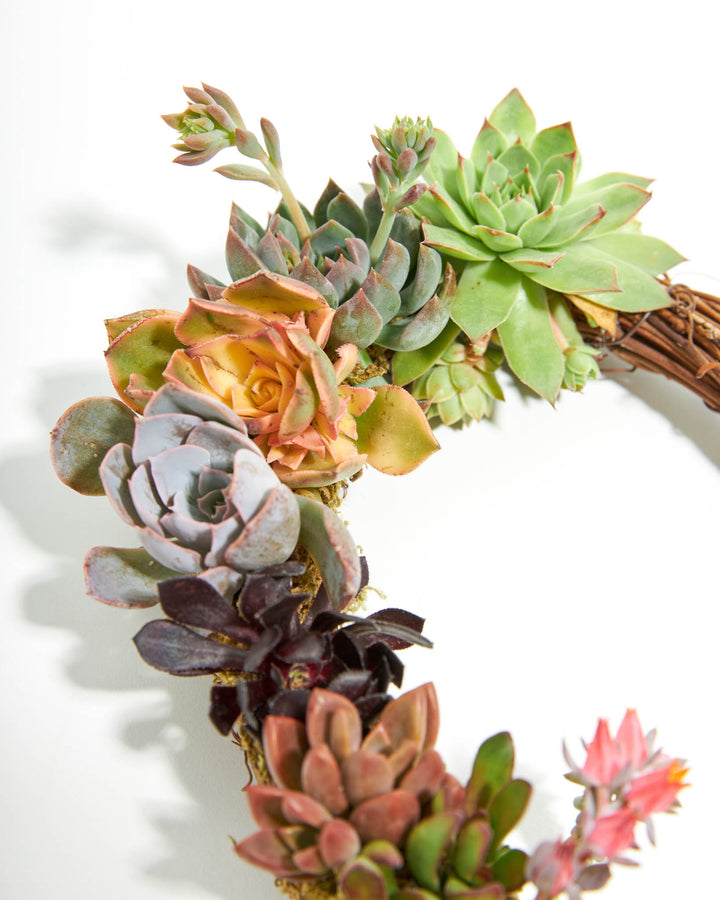 Live Succulent Heart Wreath