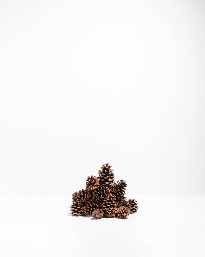 Cinnamon Scented Ponderosa Pinecones